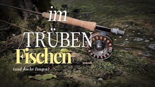 Im Trüben fischen und Äsche fangen / Red-Tag oder Bad-Tag / #fliegenfischen #grayling #flyfishing