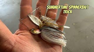 Catch Loads Of Bass This Summer Using THIS Spinnerbait Trick…