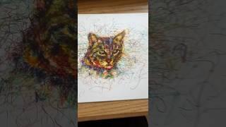 Cat Scribble Drawing! #cat #catart #catartwork #catartist #catdrawing #scribbledrawing #scribble_art