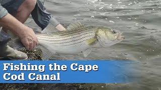 Fishing the Cape Cod Canal | S16 E4