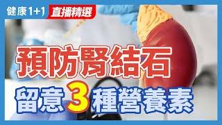 預防腎結石  | 健康1+1 · 直播精選