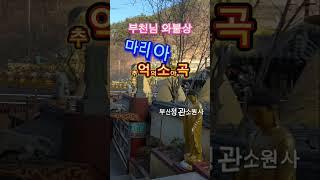 신비로운 사찰