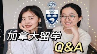 【商科金融Q&A】商学院就业前景如何？理财知识哪里学？多伦多大学学姐在线答疑解惑！