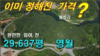 영월  29,637평 한반도면 임야와전,  정말 완만한 임야,  경매에서 알아야 하는 것,  강원도 부동산,