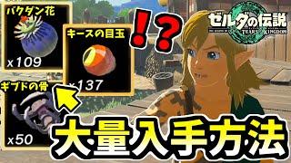 枯渇しがちな便利素材の大量入手方法！キースの目玉、ギブドの骨、バクダン花の解説【ゼルダの伝説 ティアキン】