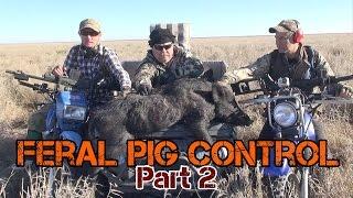 Contract shooting feral pig control Part 2