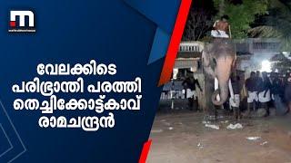 വേലക്കിടെ പരിഭ്രാന്തി പരത്തി തെച്ചിക്കോട്ട്കാവ് രാമചന്ദ്രന്‍ | Thechikottukavu Ramachandran