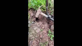 Latest Simple Snake Trap Ideas 2025 #snake #animal #wildlife #shorts #trending #short video
