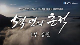 [5억 년의 흔적] 1부. 강원: 고생대 지질 공원 / YTN 사이언스