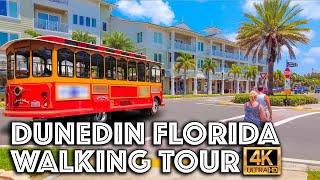 Florida Dunedin city downtown. Walking Tour 4K