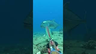 صيد السمك #fishing