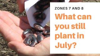 What can you still Plant in July? [Zones 7 and 8]