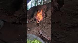 重庆地火村，燃烧几十年不灭，太不可思议了，#地火 #地火村 #神奇的大自然 #不可思议 #龙舟
