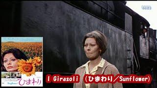 ソフィア・ローレン、Sophia Loren 「ひまわり Sunflower  I girasoli～Love Theme～」ヘンリー　マンシーニ　Henry Mancini