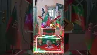 PTI TIGER KpK 