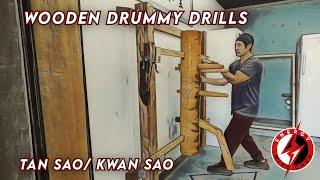 Wooden Dummy Tan Kwan Sao- Wing Chun Training Techniques Structure#martialarts #kungfu#winghchun