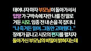 감동사연 부모님 돌아가시고 입양 가 구박속에 자란 나를 친 딸로 거둔 시모  임종 전 편지를 주는데   장례 끝나고 편지를 읽은 부모님의 정체가    신청사연 썰읽는 사연라디오