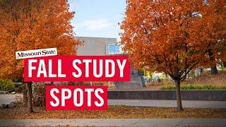 Missouri State fall studying