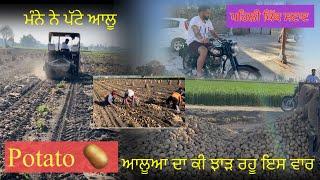 Potato//ਡਾਇਮੰਡ ਆਲੂਆਂ ਦੀ ਪਟਾਈ ਸੁਰੂ ਕਰਤੀ//SEERA DHILLON