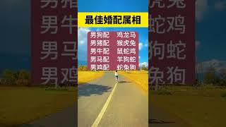 #生活小妙招#生活窍门#生活小技巧 每日更新