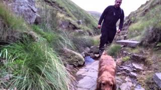 Dan and Alfie go Scrambling!