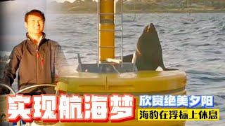 【澳洲风哥带你欣赏澳大利亚绝美夕阳】实现航海梦！观赏墨尔本无人机灯光秀