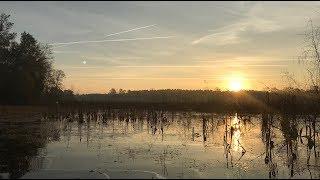 Black Swamp Plantation Gun Club