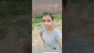 Cute dear