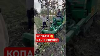 СОВРЕМЕННЫЙ способ выкапывания деревьев