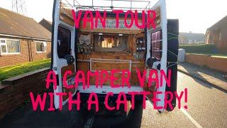 A CATTERY IN A VAN! 1 CAT SHORT OF CRAZY | VAN TOUR