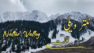 The Beautiful Naltar Valley Gilgit Baltistan Pakistan