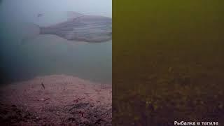 Сравнение камер под водой Экшн-камера SJCAM 5000X VS sony imx225