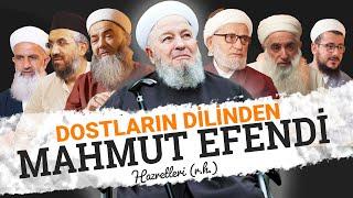 Dostların Dilinden Mahmut Efendi Hazretleri!