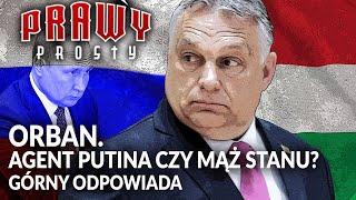 Orban. AGENT PUTINA czy MĄŻ STANU. Górny dla PCh24 || Prawy prosty