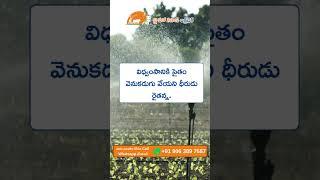 Farmers motivational Quotes in Telugu | Whatsapp Status 2025 |  @JaiHoKisan ​