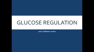 Glucose Regulation and Diabetes - clinical chem review