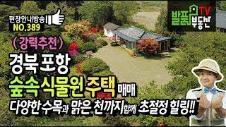 (강추) 경북 포항 숲속 식물원 전원주택 매매 다양한 수목과 꽃 그리고 천을 접한 포항부동산 - 발품부동산TV