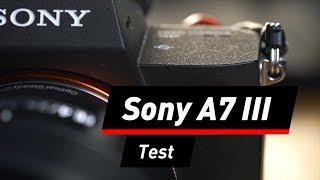 Sony A7 III: Schlanker Alleskönner im Test