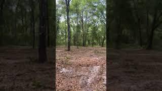 1.5 Acres in Putnam County Cleaned and Cleared (READY TO BUILD!)