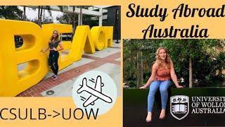 STUDY ABROAD WOLLONGONG // CSULB Exchange