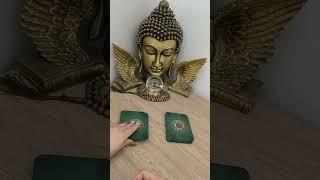 فال شراره - ذهن خوانی میخکوب کننده همین الان فرد احساسی شما