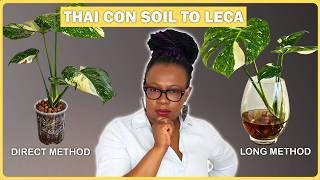 Monstera Thai Constellation Soil to Leca | Direct vs Long Method