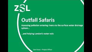 Outfall Safaris and London's Water Voles