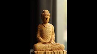 The Discourses of the Buddha from the Pali Canon