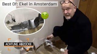 Verzweifelter Hilferuf! Ekel in Amsterdam?!  | BEST OF | Achtung Abzocke