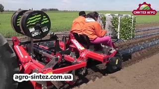 Рассадопосадочная машина SPAPPERI AS TWIN DRIVE / Transplanter / Саджалка