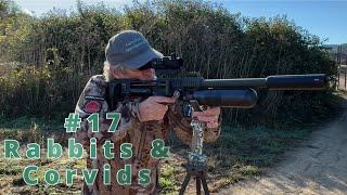 Corvids at the farm. FX Impact .22cal, 180 Yard Shot!!! Arken Optics ZULUS.