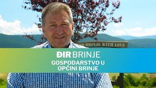 Đir Brinje - Gospodarstvo u Općini Brinje