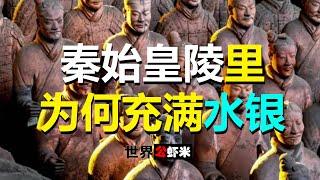 《世界公虾米》秦始皇陵里为何充满水银？#秦始皇陵#考古发现#皇帝陵墓#兵马俑,帝国#文化遗产#化学元素#防腐#墓地#帝国遗址#文物#传奇#古代工程#考古学#古代中国#未解之谜#地下宫殿