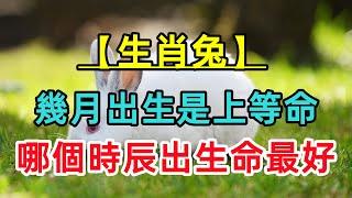 【生肖兔】屬兔人幾月出生最好？哪個時辰出生命最好？一生都是富貴命！